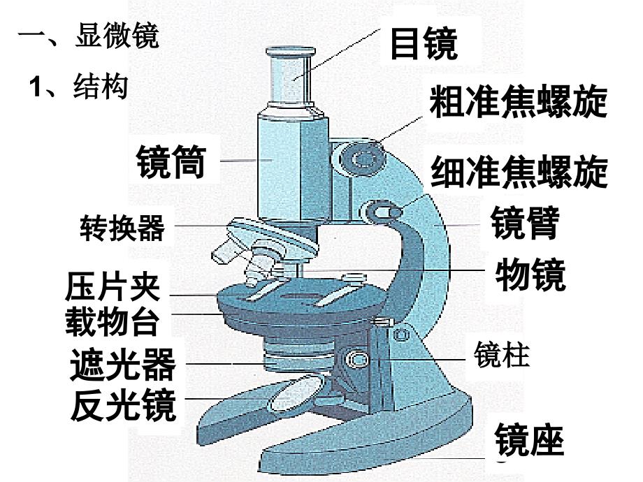 使用高倍显微镜观察几种细胞_第1页