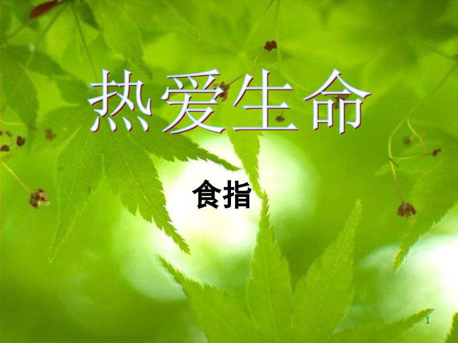 粤教版-高中语文-必修2-第2单元-热爱生命课件_第1页