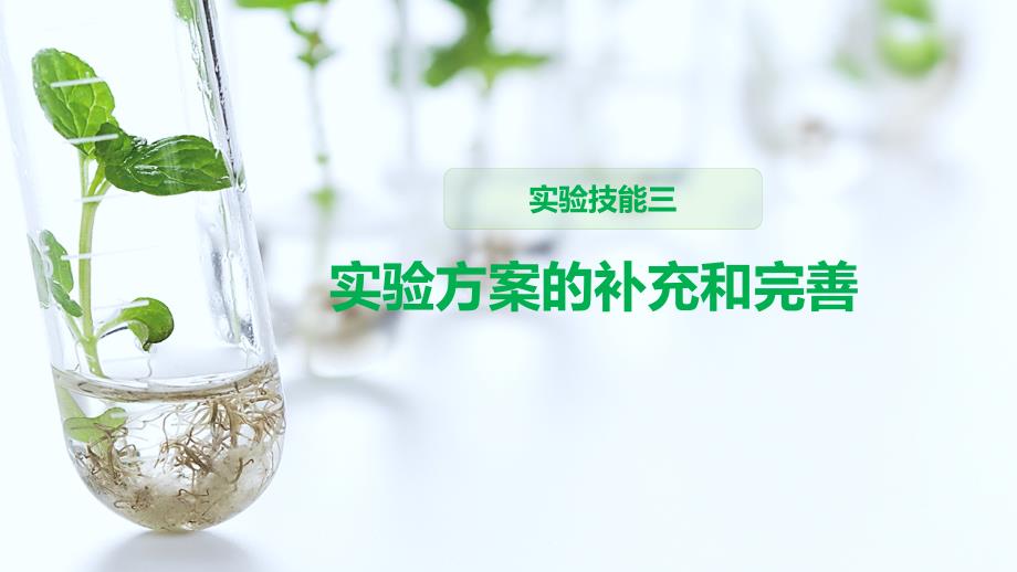 高中生物实验技能(实验方案的补充和完善)课件_第1页