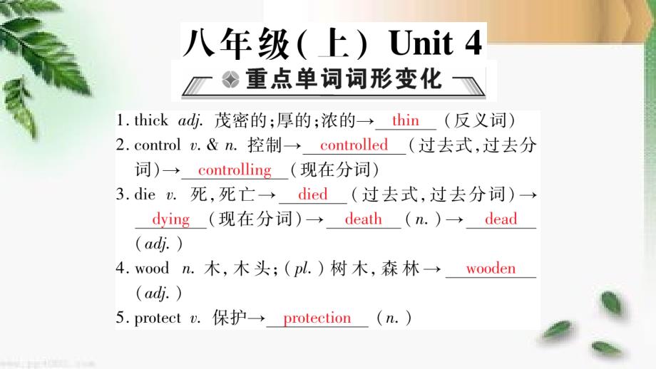 仁爱版中考八年级英语上册教材Unit4单元知识点梳理课件_第1页