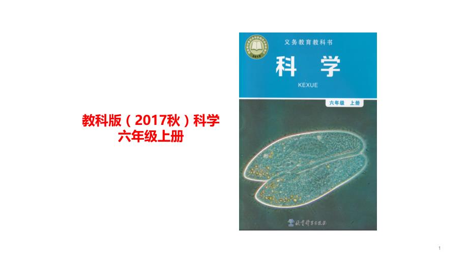 教科版科学六上-不简单的杠杆-ppt课件_第1页