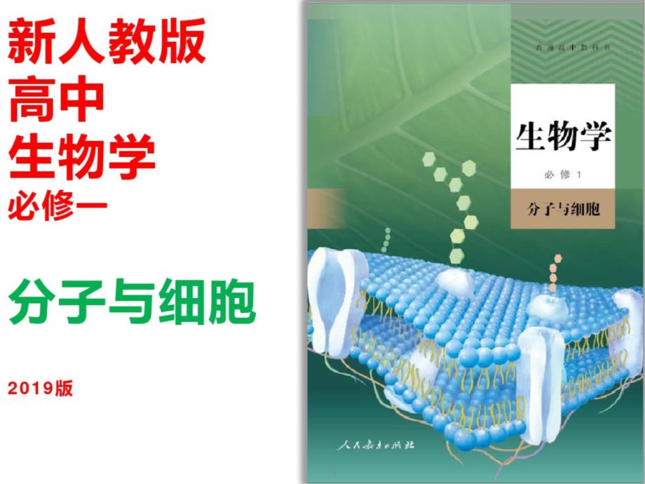 新人教版高中生物学必修一分子与细胞3.1细胞膜的结构和功能课件_第1页