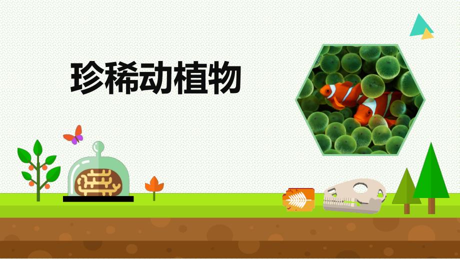 小学科学《珍稀动植物》优质ppt课件_第1页