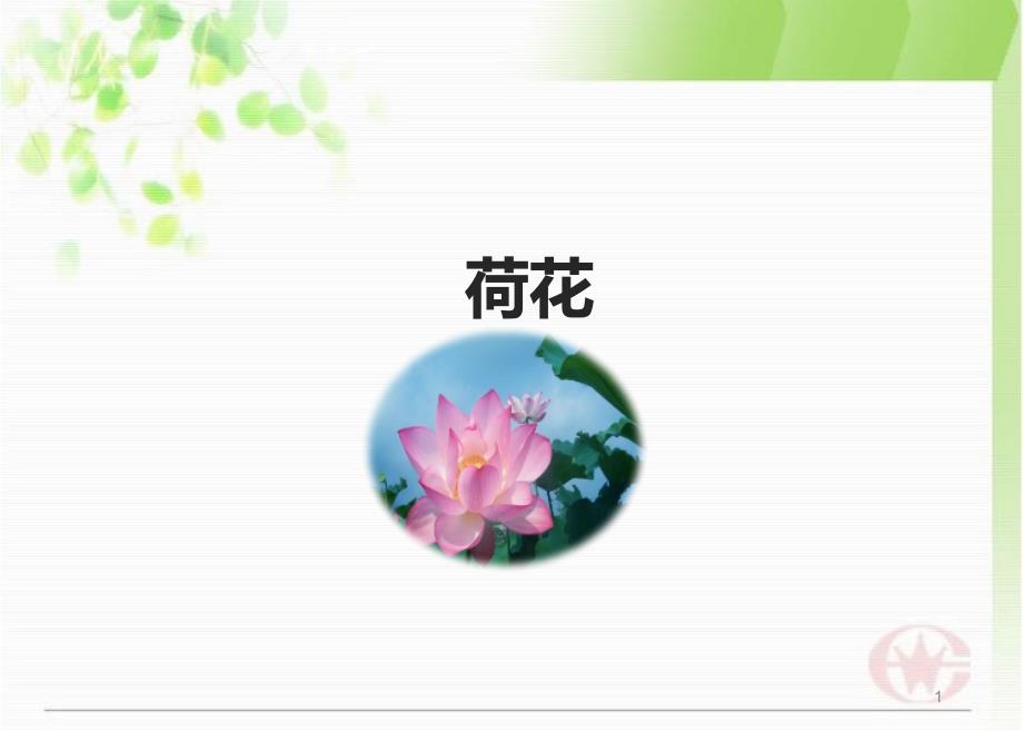 人教版小學(xué)三年級(jí)上冊(cè)語(yǔ)文《荷花》ppt課件_第1頁(yè)