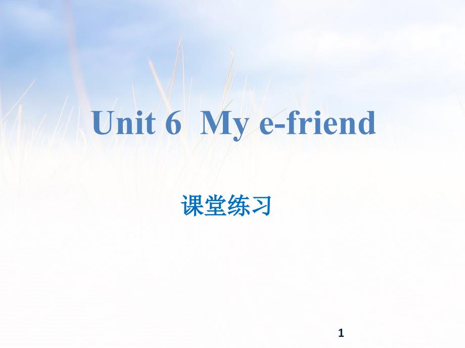 《My-e-friend》课堂练习课件_第1页