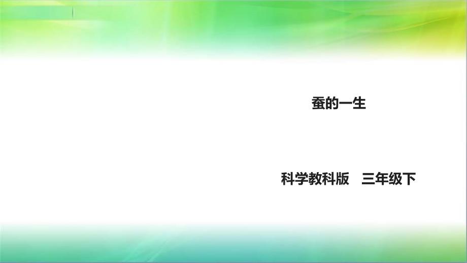 教科版小学科学新版三年级下册科学2.6《蚕的一生》ppt课件_第1页