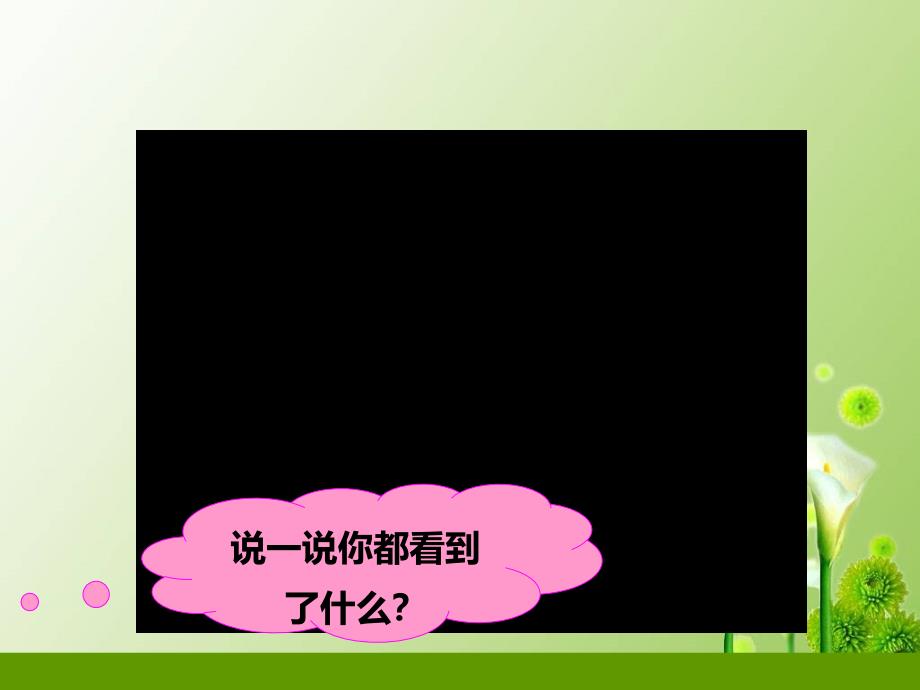 新版教科版一年级科学上册第二单元第一课《在观察中比较》()ppt课件_第1页