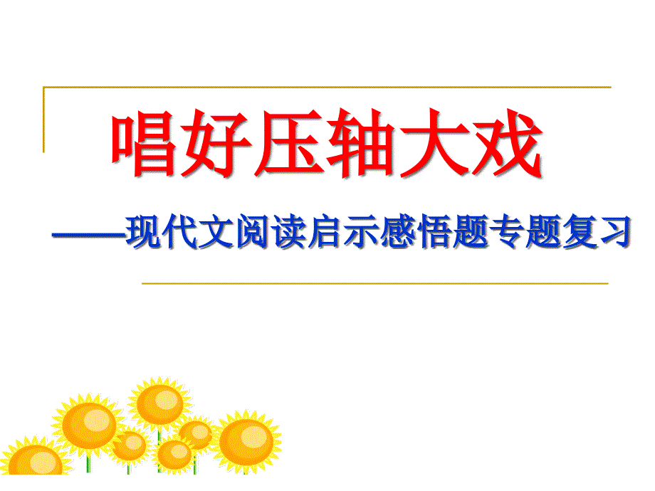 中考语文现代文阅读启示感悟题专题复习课件_第1页