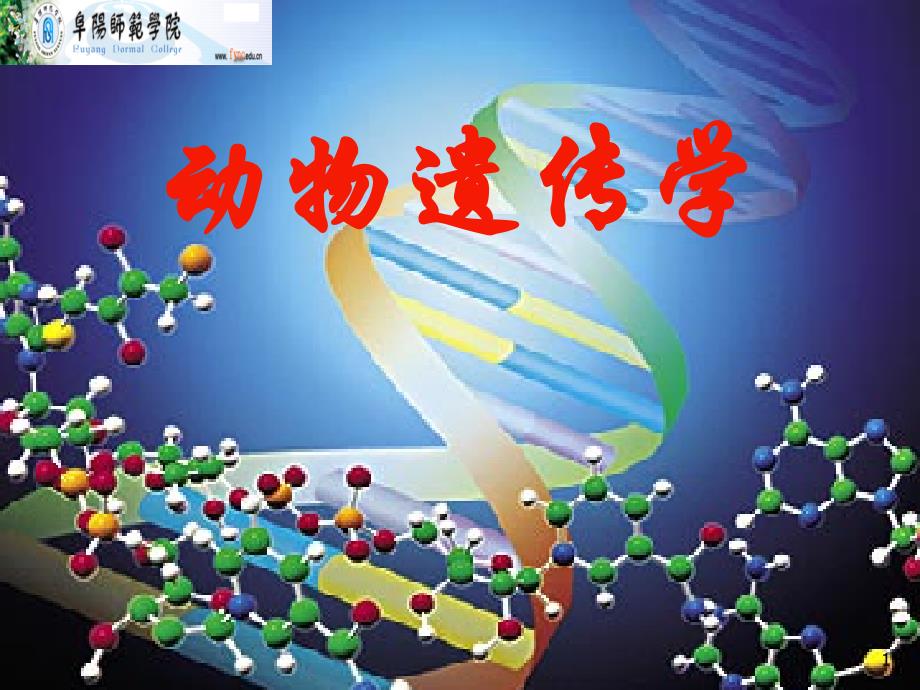 [农学]动物遗传学教学ppt课件_第1页