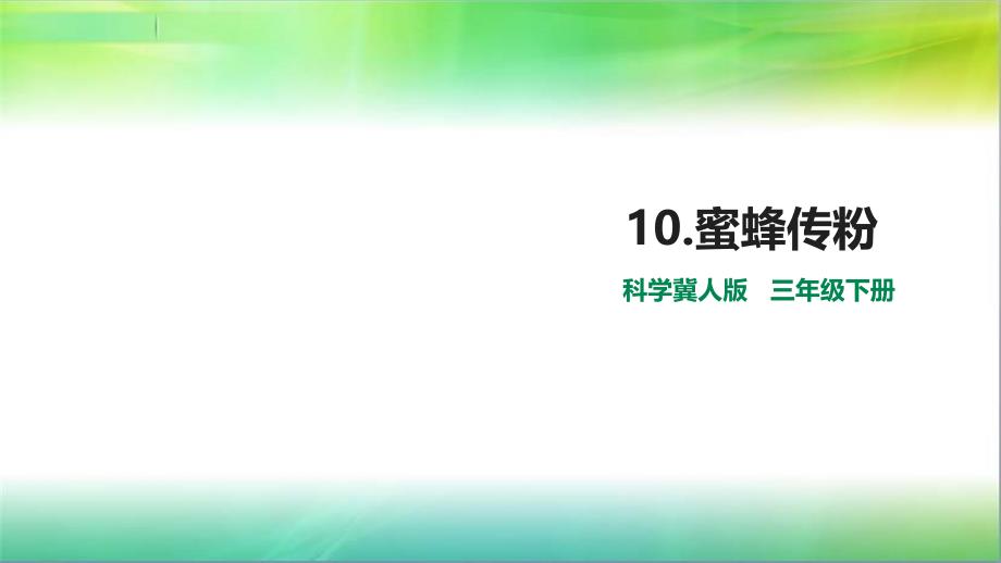 冀教版小学科学新版三年级下册科学10.蜜蜂传粉课件_第1页