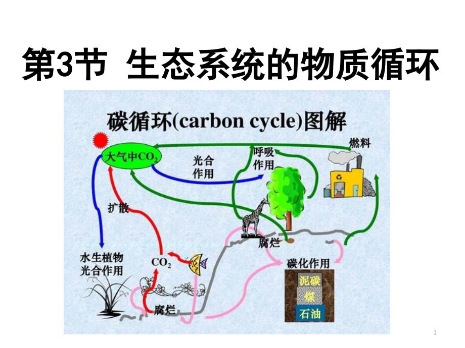 人教版新教材选择性必修二-3.3-生态系统的物质循环课件_第1页