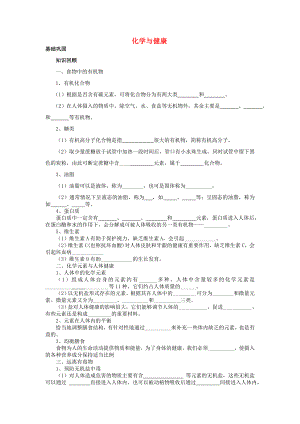 九年級化學全冊 第十單元 化學與健康 第十單元綜合快樂學案 （新版）魯教版