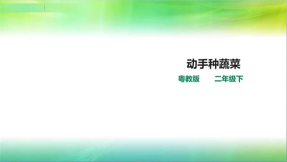 粤教版小学科学新版二年级下册科学2.6动手种蔬菜(ppt课件)_第1页