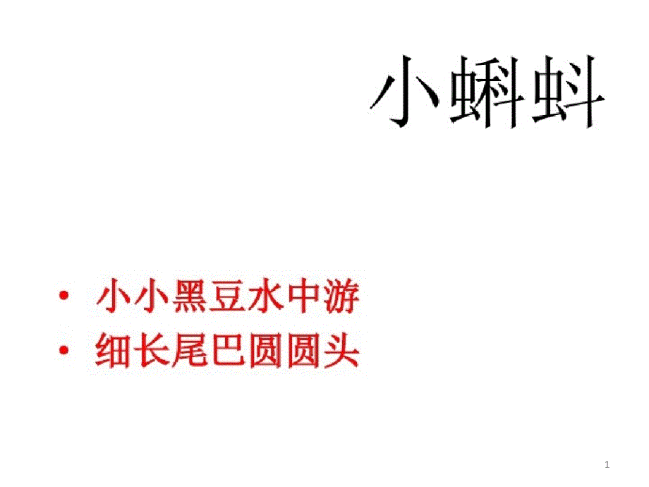 2021年湘教版小学美术二年级上册《小蝌蚪》ppt课件_第1页