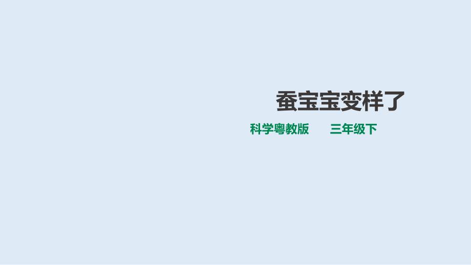 《蚕宝宝变样了》课件粤教版_第1页