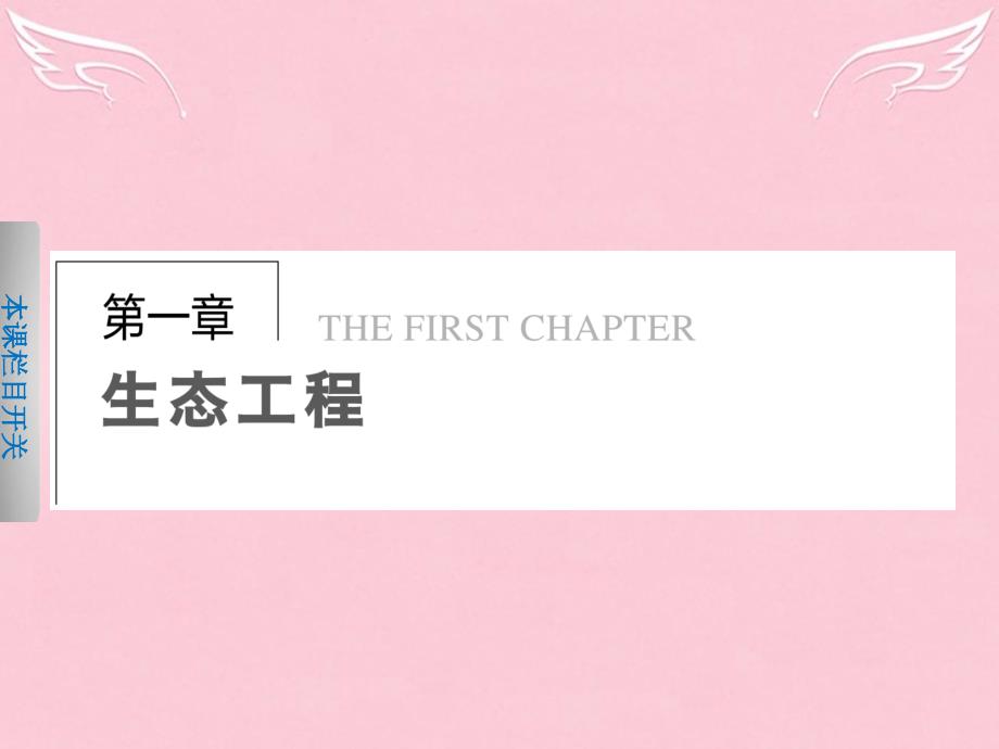 【北师大版】高中生物选修三：1.1《生态工程的理论依据》课件_第1页