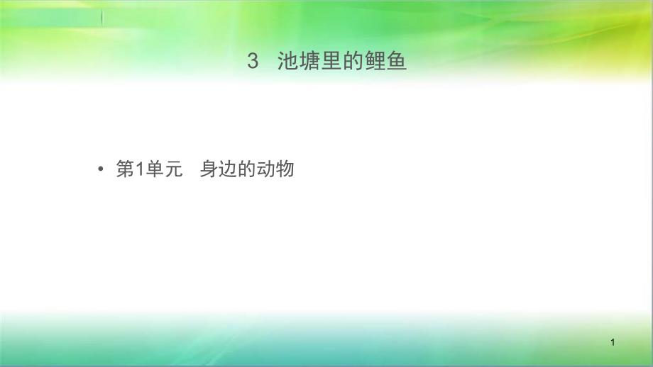 粤教版小学科学新版二年级下册科学【教学ppt课件】《池塘里的鲤鱼》_第1页