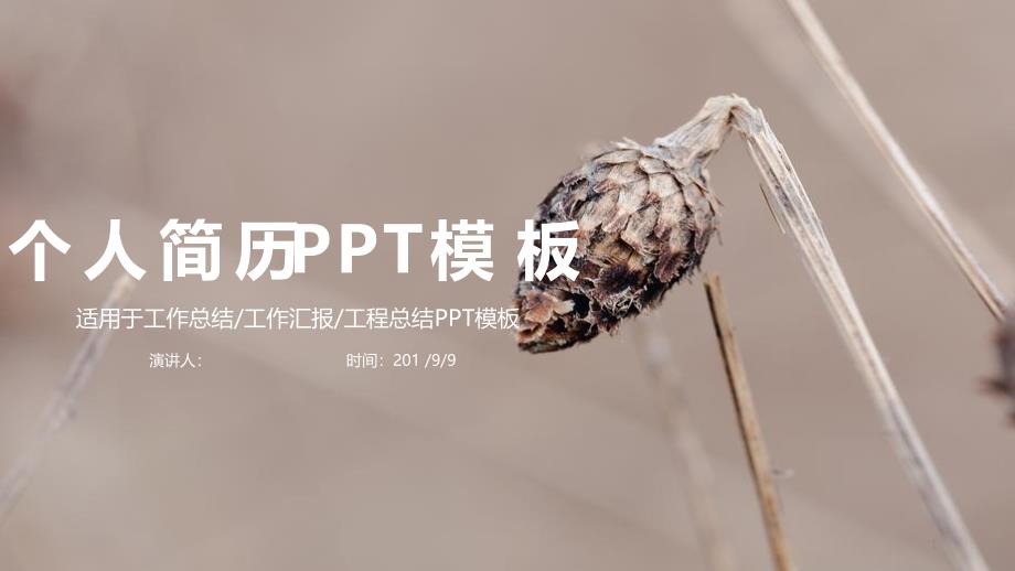 简约风经典创意个性赢未来个人简历动态PPT模版课件_第1页