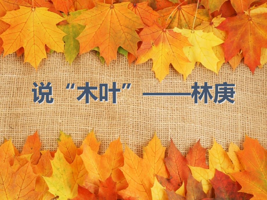 江西省某中学高中语文9说木叶ppt课件新人教版必修5_第1页