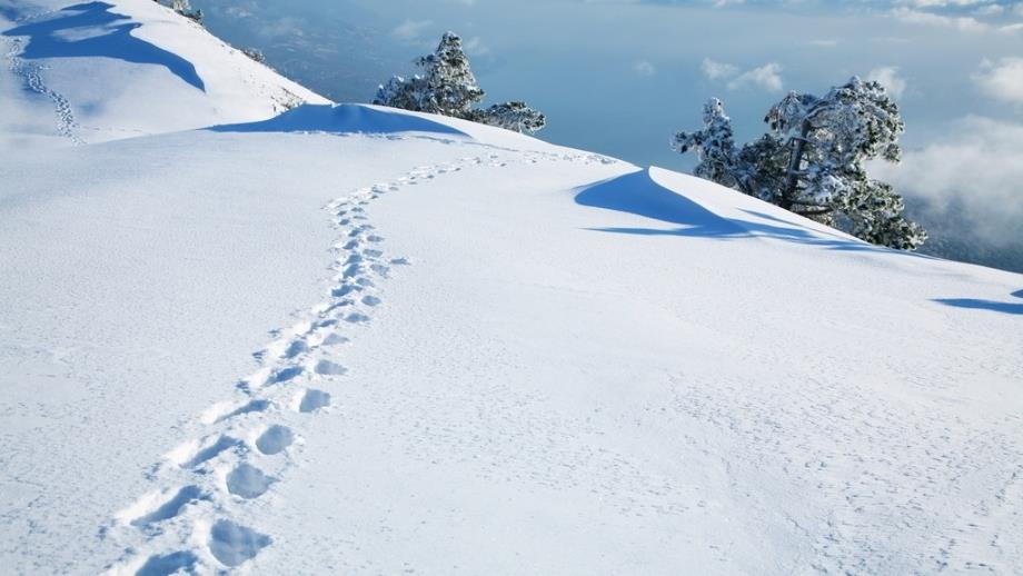 部编版小学语文一年级上册ppt课件《雪地里的小画家》_第1页