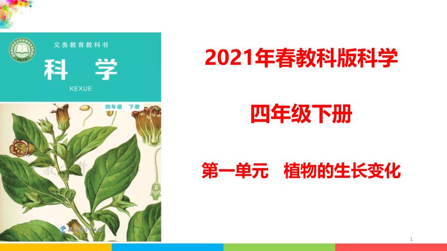 教科版四年级科学下册1.8凤仙花的一生ppt课件_第1页