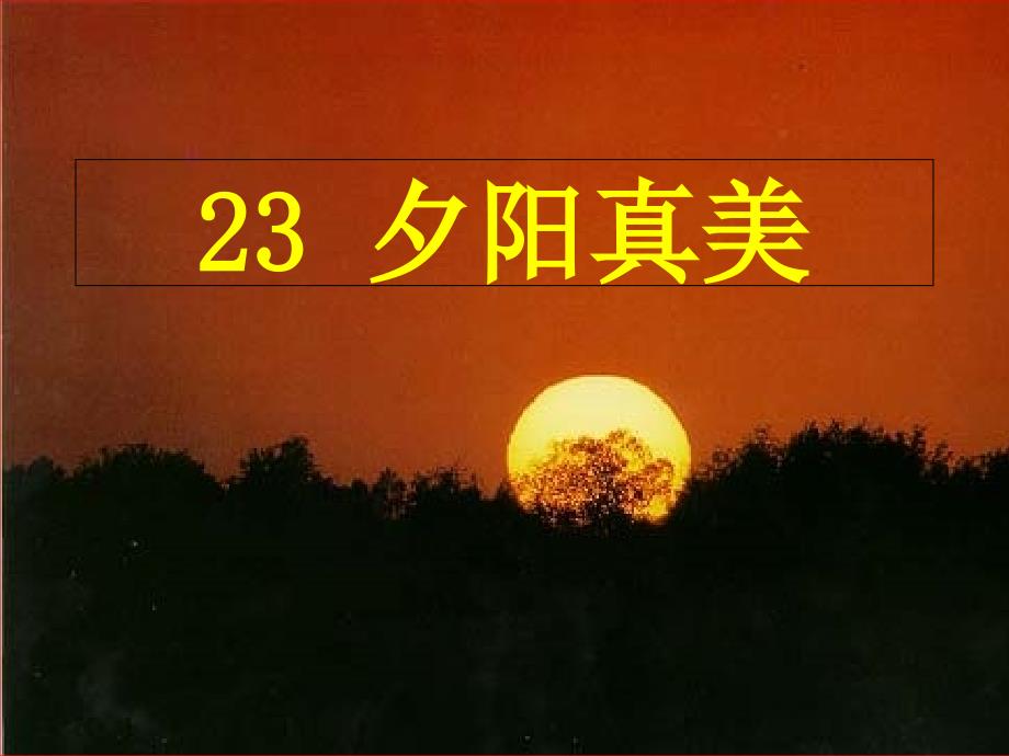 小学语文-《夕阳真美》课件_第1页