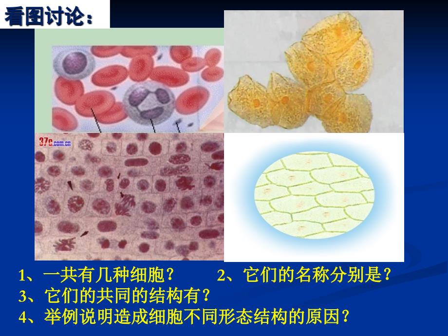 人教版高一生物必修1第一章《走近细胞》ppt课件_第1页