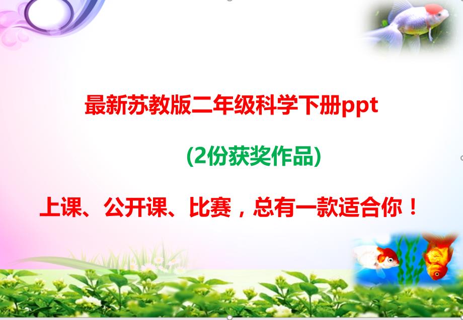 苏教版二年级科学下册9、寻找土壤里的小动物课件【2套参赛作品】_第1页