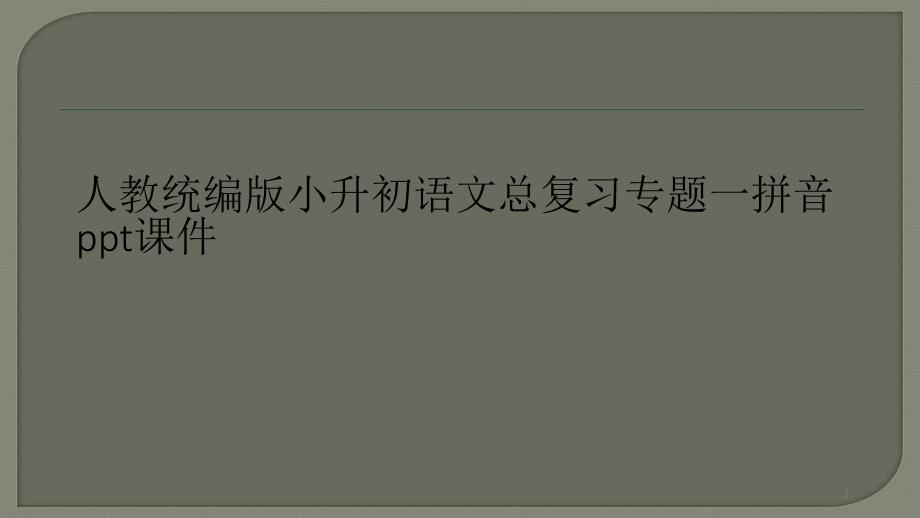 人教统编版小升初语文总复习专题一拼音课件_第1页