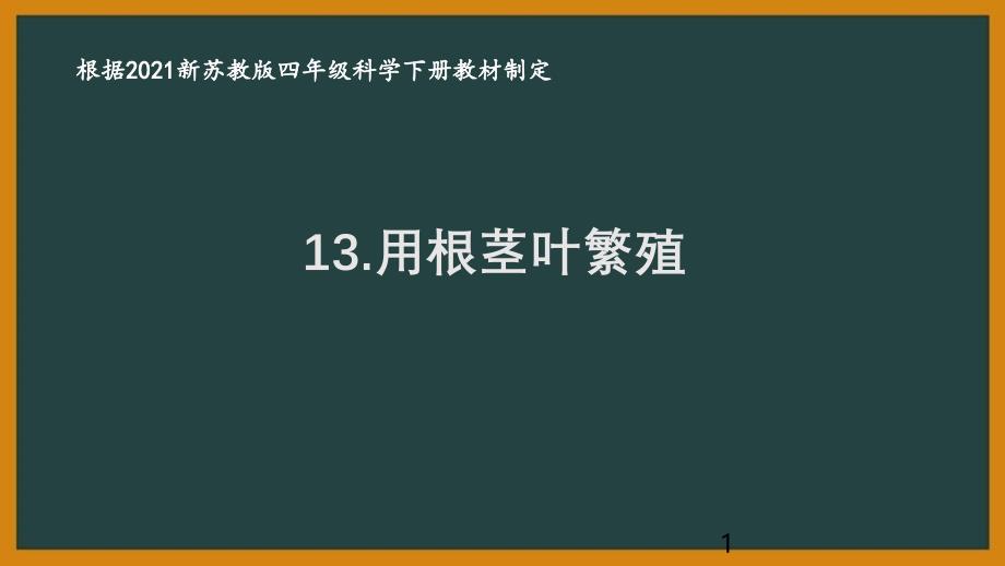 2021南京新苏教版四年级科学下册第四单元13《用根茎叶繁殖》ppt课件_第1页