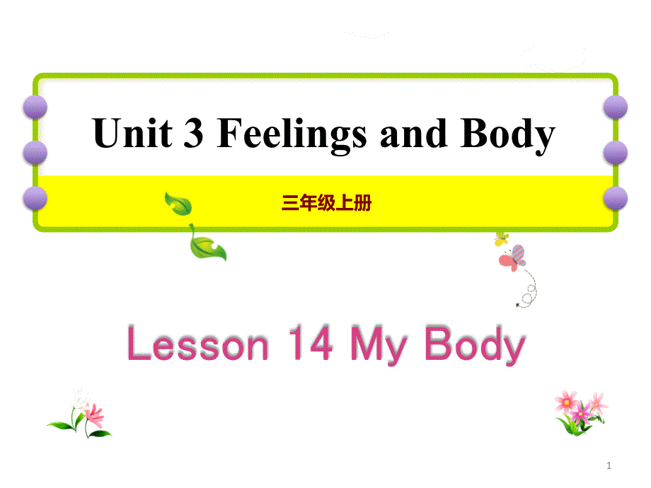 冀教版三年级英语上册Lesson-14-My-Body课件_第1页