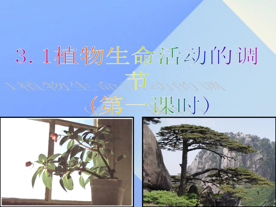 八年级科学上册第3章第1节植物生命活动的调节ppt课件浙教版_第1页