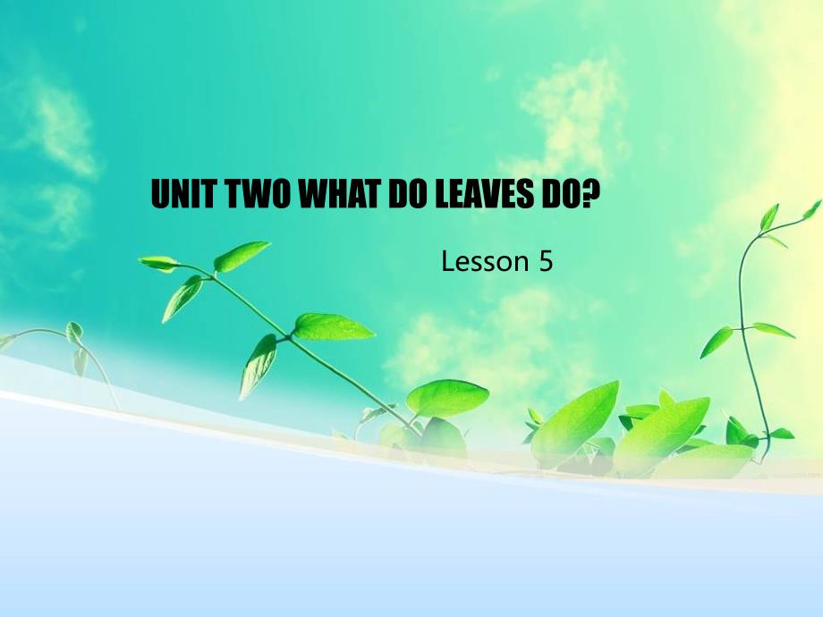 UNIT-TWO-WHAT-DO-LEAVES-DO-Lesson-5-ppt课件1-优质公开课-北京一起5下_第1页