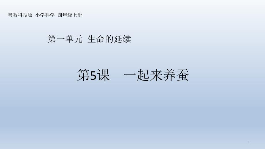 粤教版四年级科学上册-一起来养蚕-ppt课件_第1页