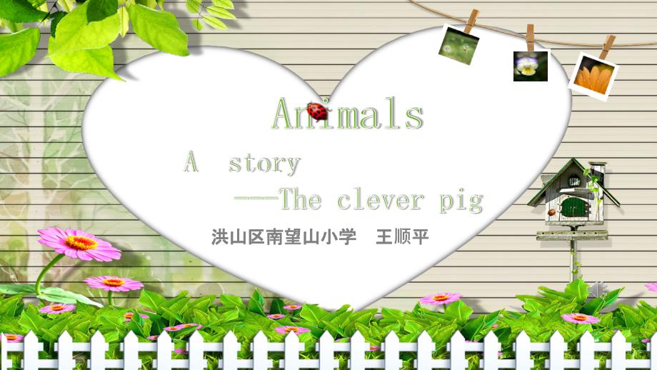 The-clever-pig-教学ppt课件(省一等奖)_第1页