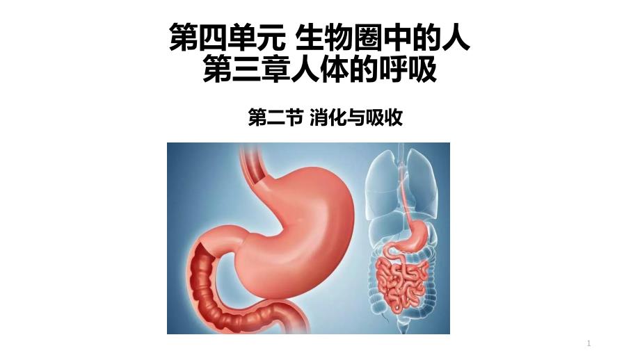 人教版七年级生物下册消化和吸收课件_第1页