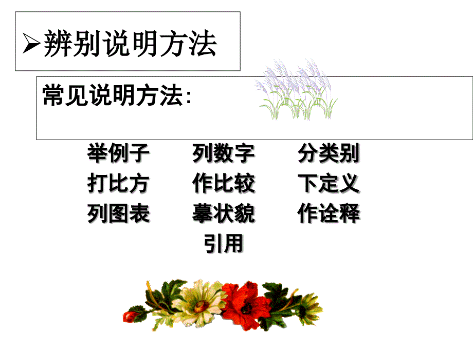 初中语文辨别说明方法及作用课件_第1页