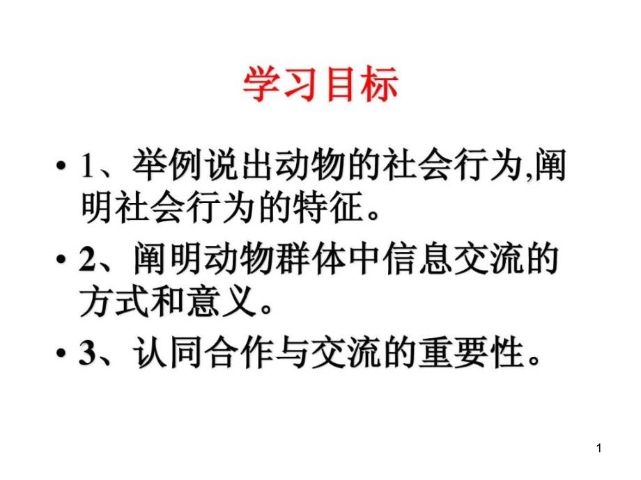 人教版八上生物社会行为课件_第1页