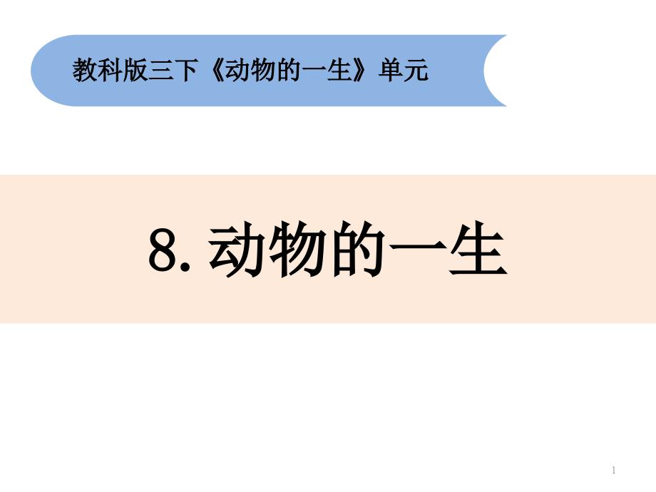 教科版小学科学新版三年级下册科学2-8《动物的一生》课件_第1页