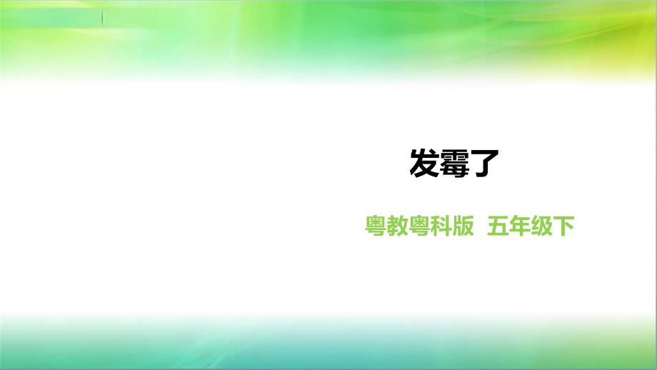 粤教粤科版小学科学五年级下册科学《发霉了》课件_第1页