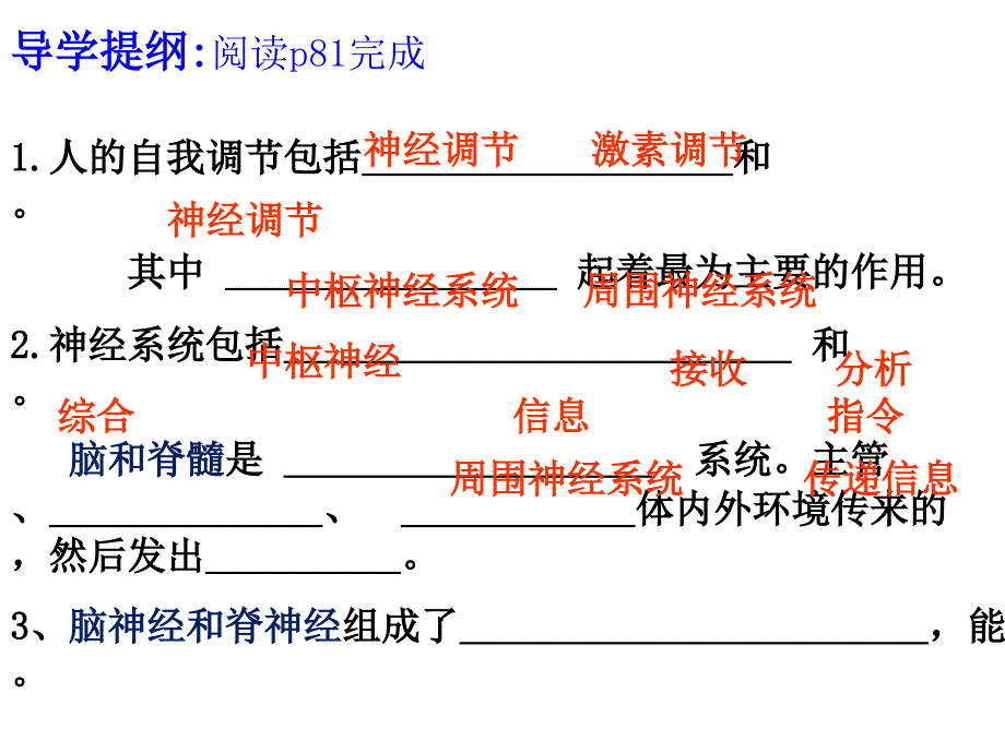 神經(jīng)調(diào)節(jié)的結(jié)構基礎_第1頁