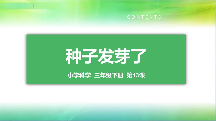 青岛版小学科学新版三年级下册科学13种子发芽了教学ppt课件_第1页