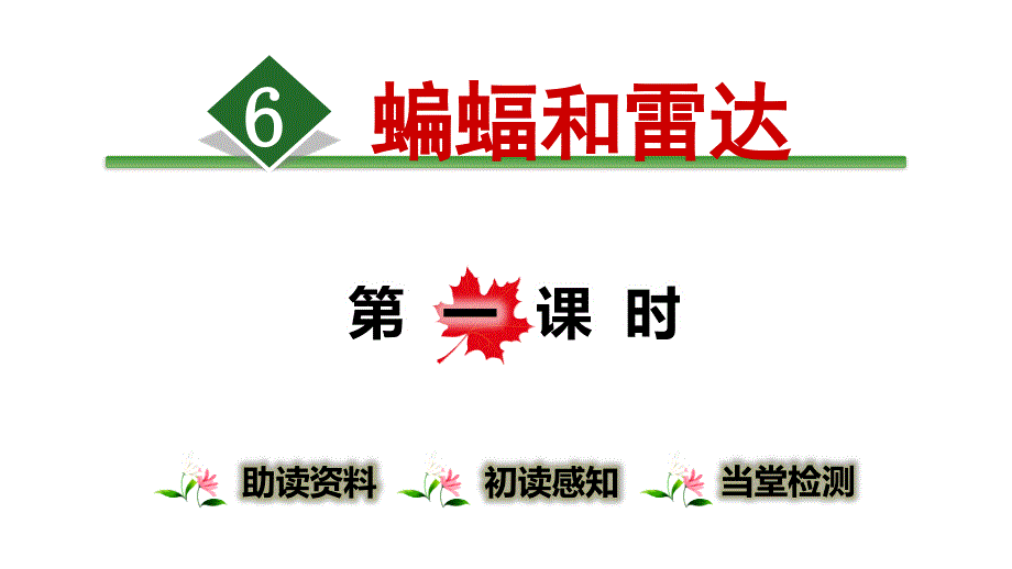 部编人教版四年级上册教学ppt课件6.蝙蝠和雷达【第1课时】_第1页