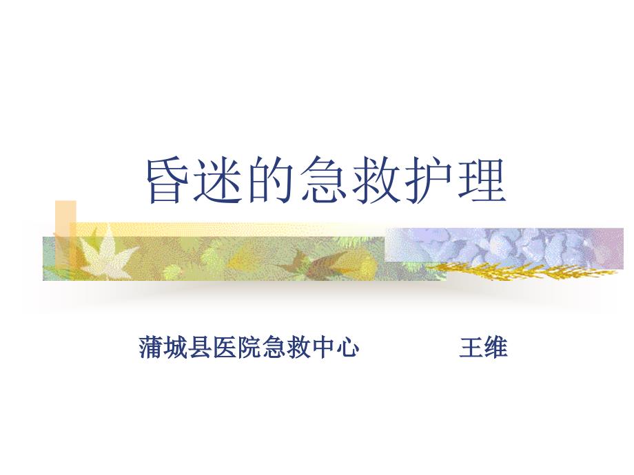 昏迷的急救护理蒲城县医院急救站周廷利课件_第1页