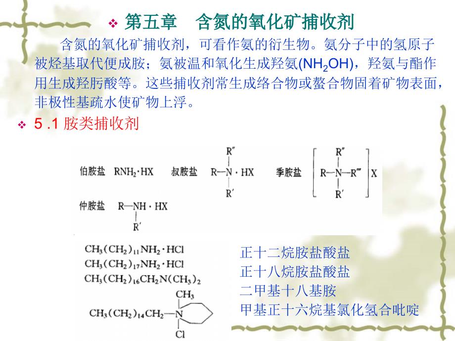 浮选药剂化学原理与应用-第五章--含氮的氧化矿捕收剂课件_第1页