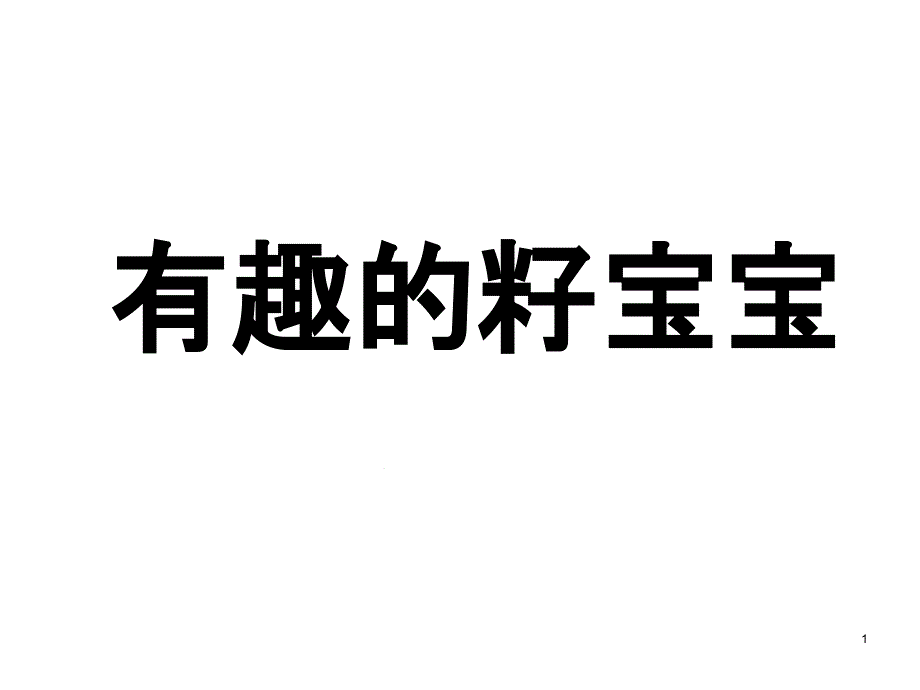 幼儿园中班科学《有趣的籽宝宝》课件_第1页