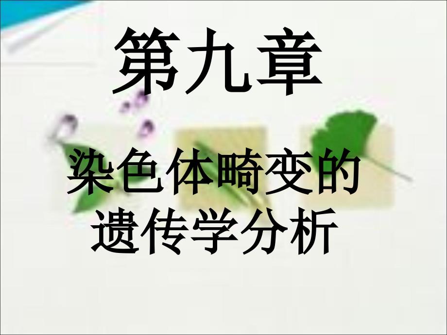 染色体畸变的遗传学分析课件_第1页