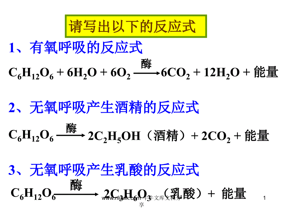 细胞呼吸与光合作用课件_第1页