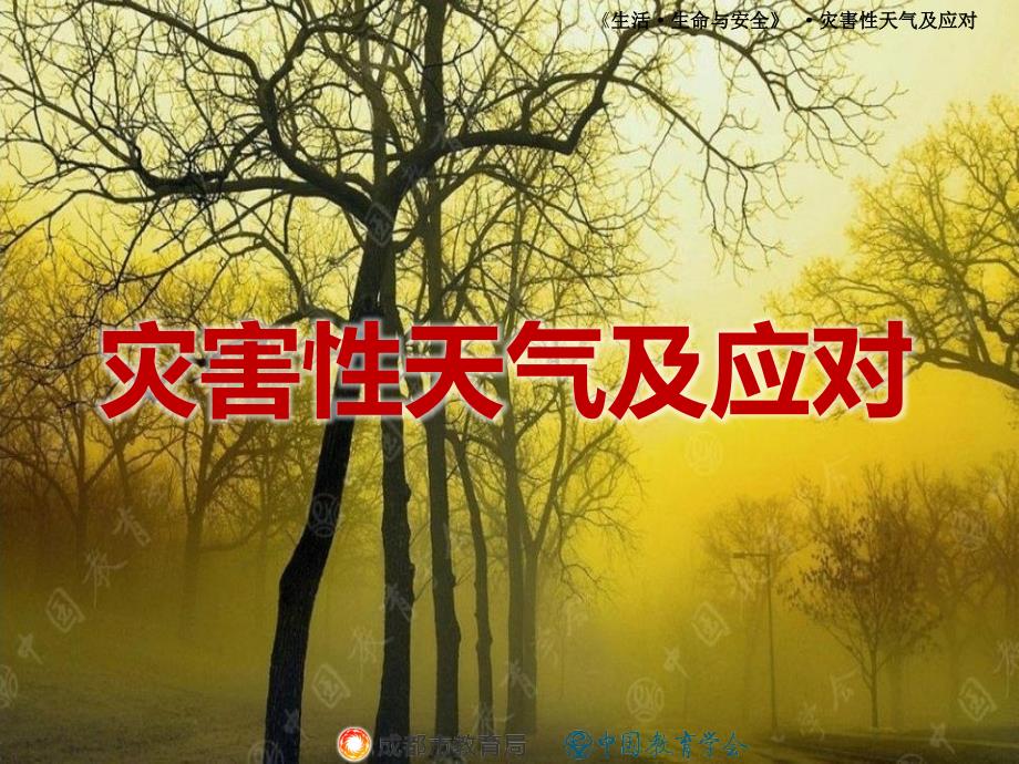 灾害性天气及应对-----学校安全卫生教育-PPT----《生活.生命与安全》课件_第1页