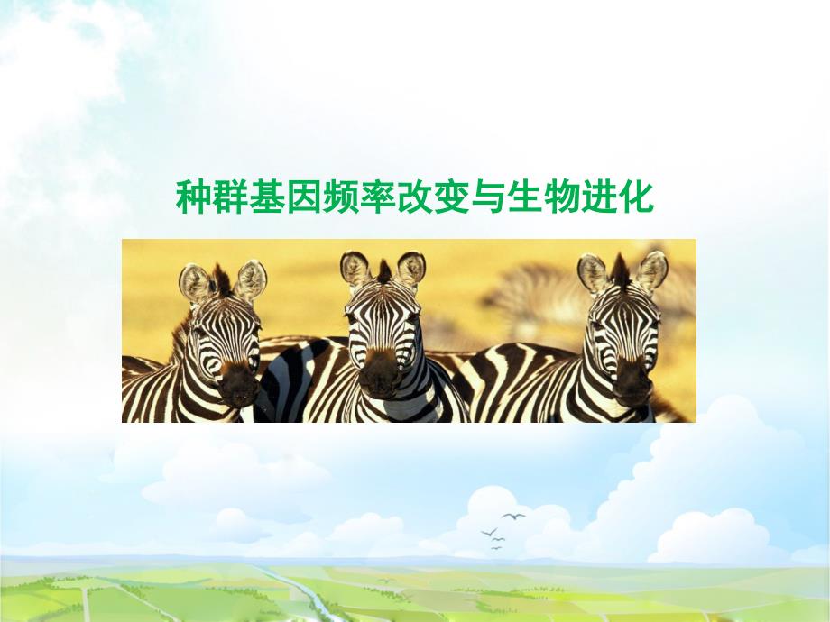 高中生物必修二优质ppt课件14：7.2.1-种群基因频率的改变与生物进化_第1页